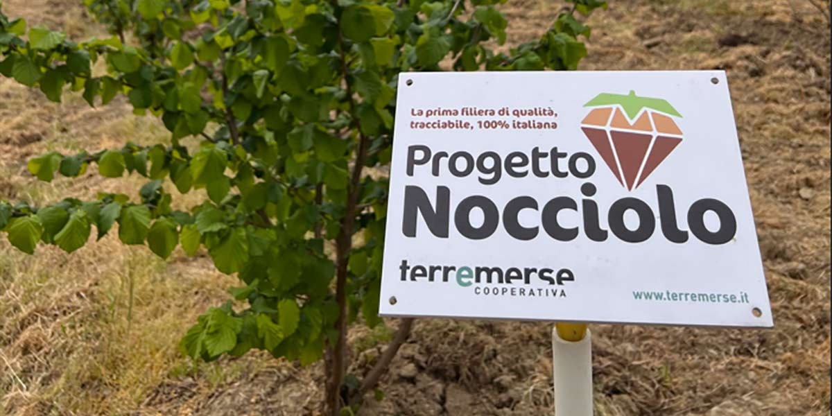 Crediti di carbonio e nocciolo: focus Terremerse al Macfrut